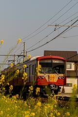 伊豆箱根鉄道大雄山線