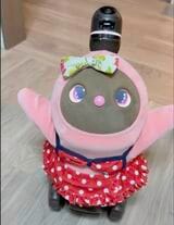 おかえり〜と鈴木さんを出迎えるあんこちゃん。抱っこして〜のポーズ（写真：鈴木さん提供）