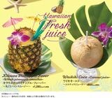 （公式HPより引用）