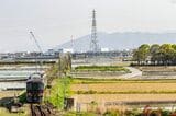 徳島県内のJR高徳線。毎時1本の特急「うずしお」が高松と徳島を結ぶ（撮影：鼠入昌史）