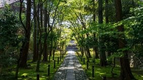 観光客が知らない｢京都がもっとも美しい｣初夏､京都人が｢今月中に食べな､あかんで｣と急かす和菓子の正体