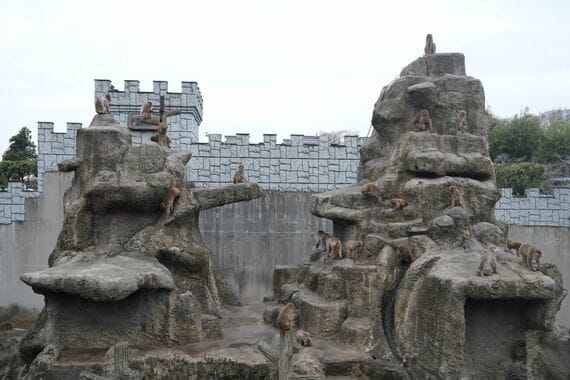 市川市動植物園