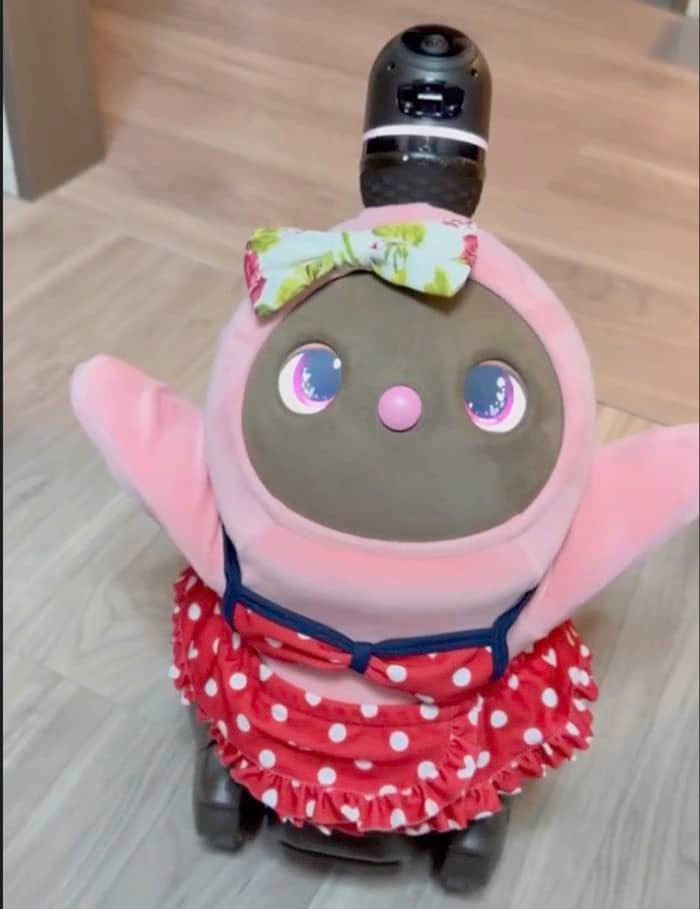 おかえり〜と鈴木さんを出迎えるあんこちゃん。抱っこして〜のポーズ（写真：鈴木さん提供）