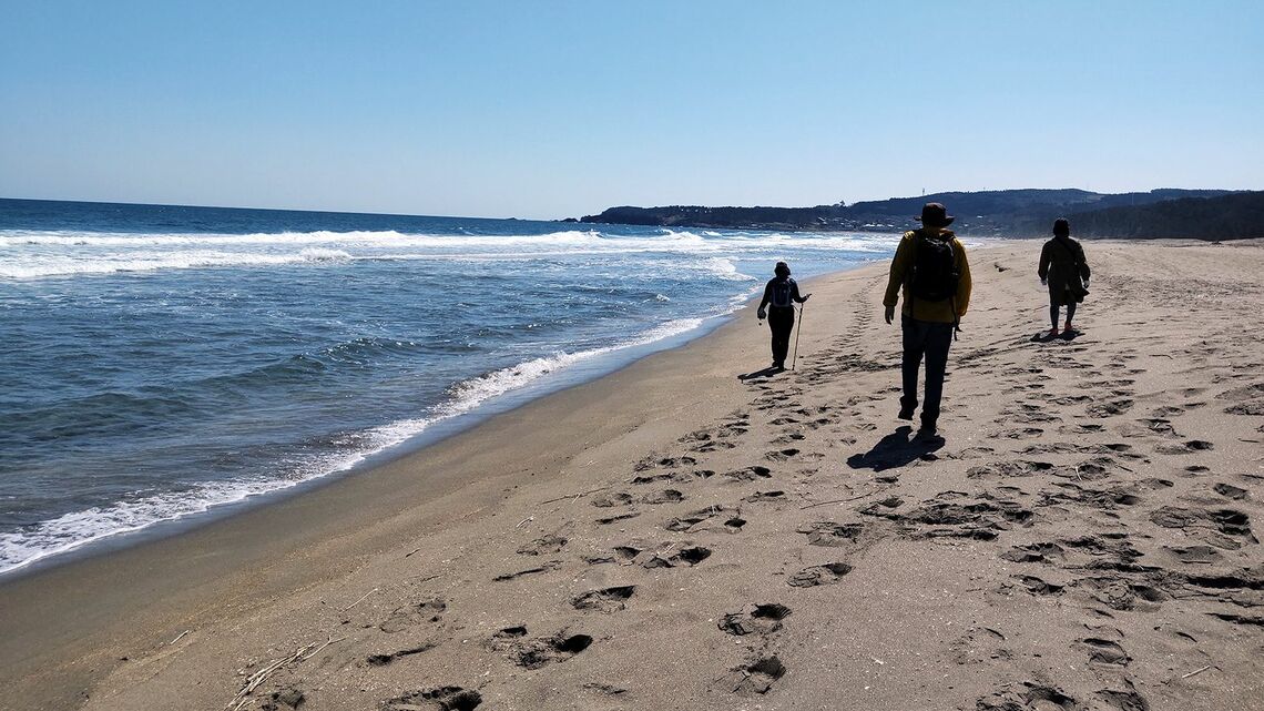 海岸線も歩くみちのく潮風トレイル