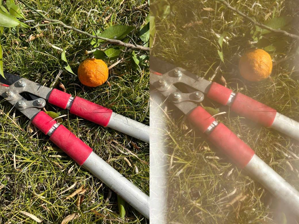 メッシュ部分越しの視界イメージ