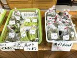 あく抜き済の山菜類も大人気。持ち帰ってすぐ調理できるのがありがたい（筆者撮影）