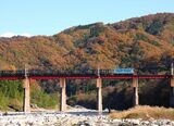 秋の長瀞渓谷を行く秩父鉄道の貨物列車（撮影：南正時）