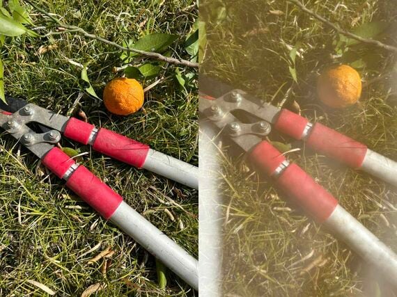 メッシュ部分越しの視界イメージ