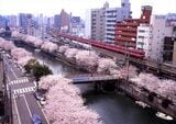 春の日ノ出町付近を走る旧1000形（撮影：南正時）