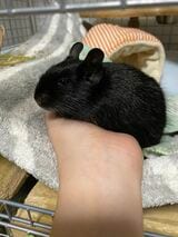 （写真：みきさん）