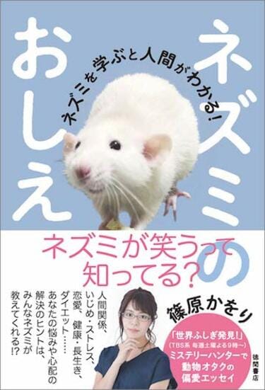 ネズミは｢チーズが好き｣は人間の思い込みだ 野生のネズミの本当の好物