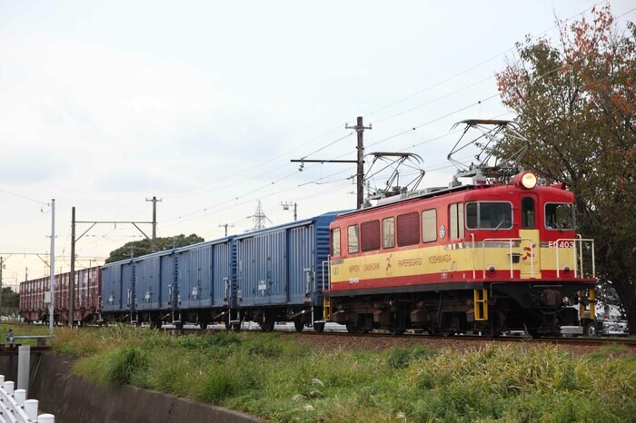 岳南鉄道のED40形ED403。日本大昭和板紙の