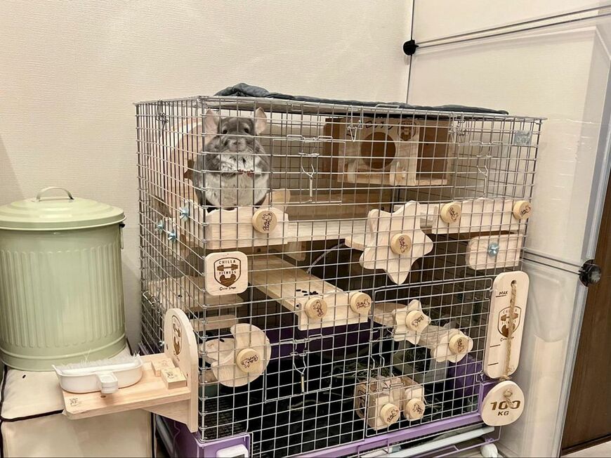 ペペロンチーノくんの豪華なケージ（写真：一真さん提供）