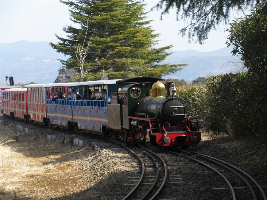 15インチゲージ鉄道は小さくても本格的な鉄道だ（筆者撮影）