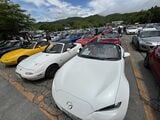 オーナーたちの笑顔や愛車を見れば、“クルマと過ごすこと”の楽しさがよくわかる（筆者撮影）