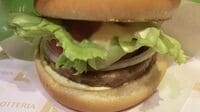 じわり人気､代替肉使用｢ソイバーガー｣の正体 ロッテリア､モスバーガーが採用する｢パティ｣