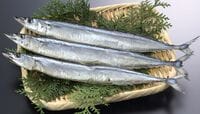 サンマ､今年は10月後半から安売り競争に？ 昨年は不漁で店頭価格が急騰したが…