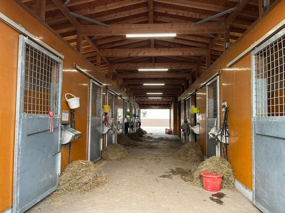 にいかっぷホロシリ乗馬クラブ