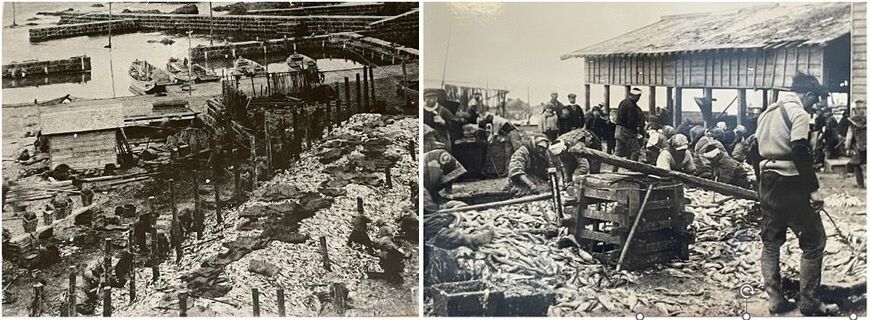 （写真：筆者提供）