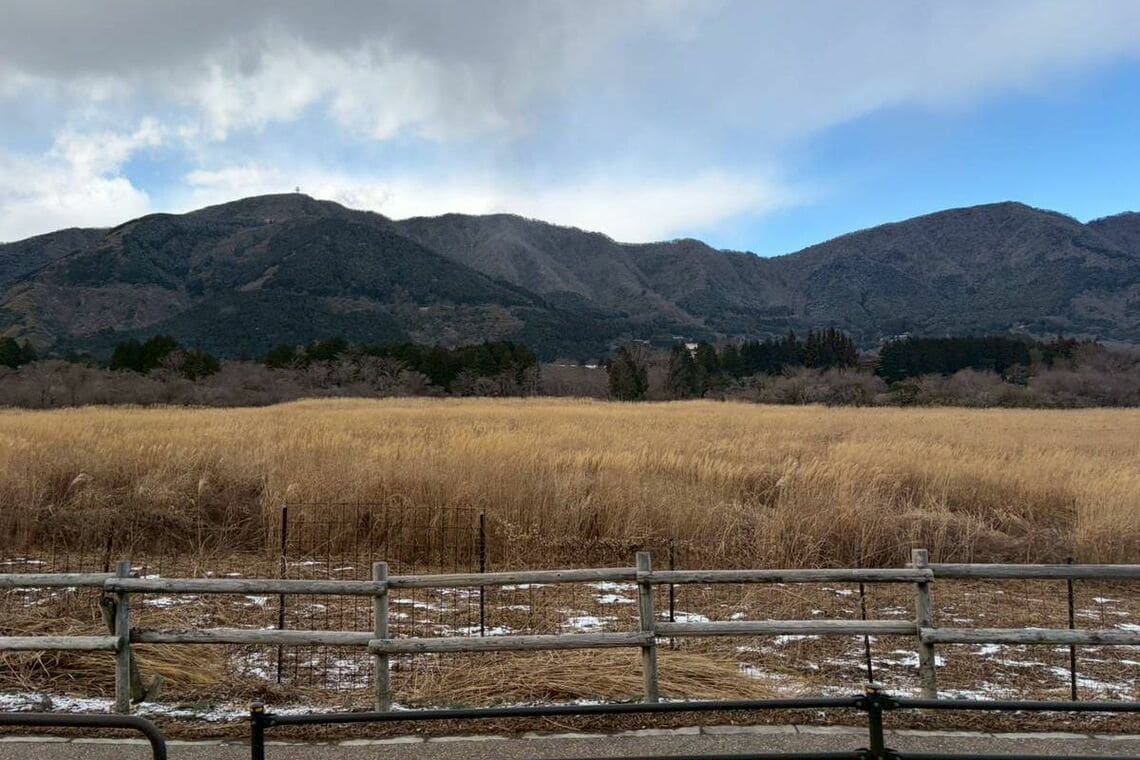 冬でも趣は残ったまま（写真：筆者提供）
