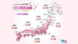 桜の開花予想日（出典：weathermap）