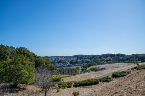 森永卓郎 東京を捨て田舎暮らしを選んだ理由 街 住まい 東洋経済オンライン 経済ニュースの新基準