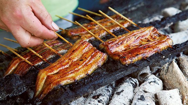 稚魚が取れない ウナギ価格 高騰の懸念 週刊東洋経済 ビジネス 東洋経済オンライン 社会をよくする経済ニュース