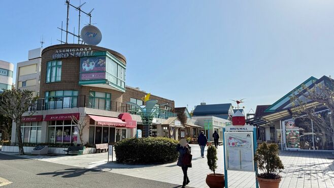 バブルに生まれた｢千葉の廃墟モール｣失敗の要因