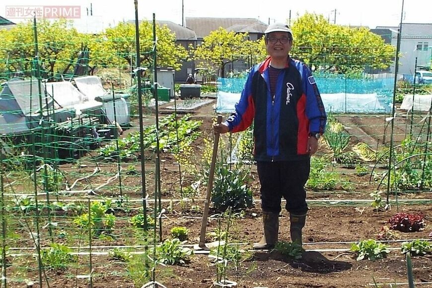 森永さんが所有する約30坪の畑で農作業。トマトやきゅうり、なす、大根などさまざまな野菜を育てていて、家計の助けに（写真：週刊女性PRIME）