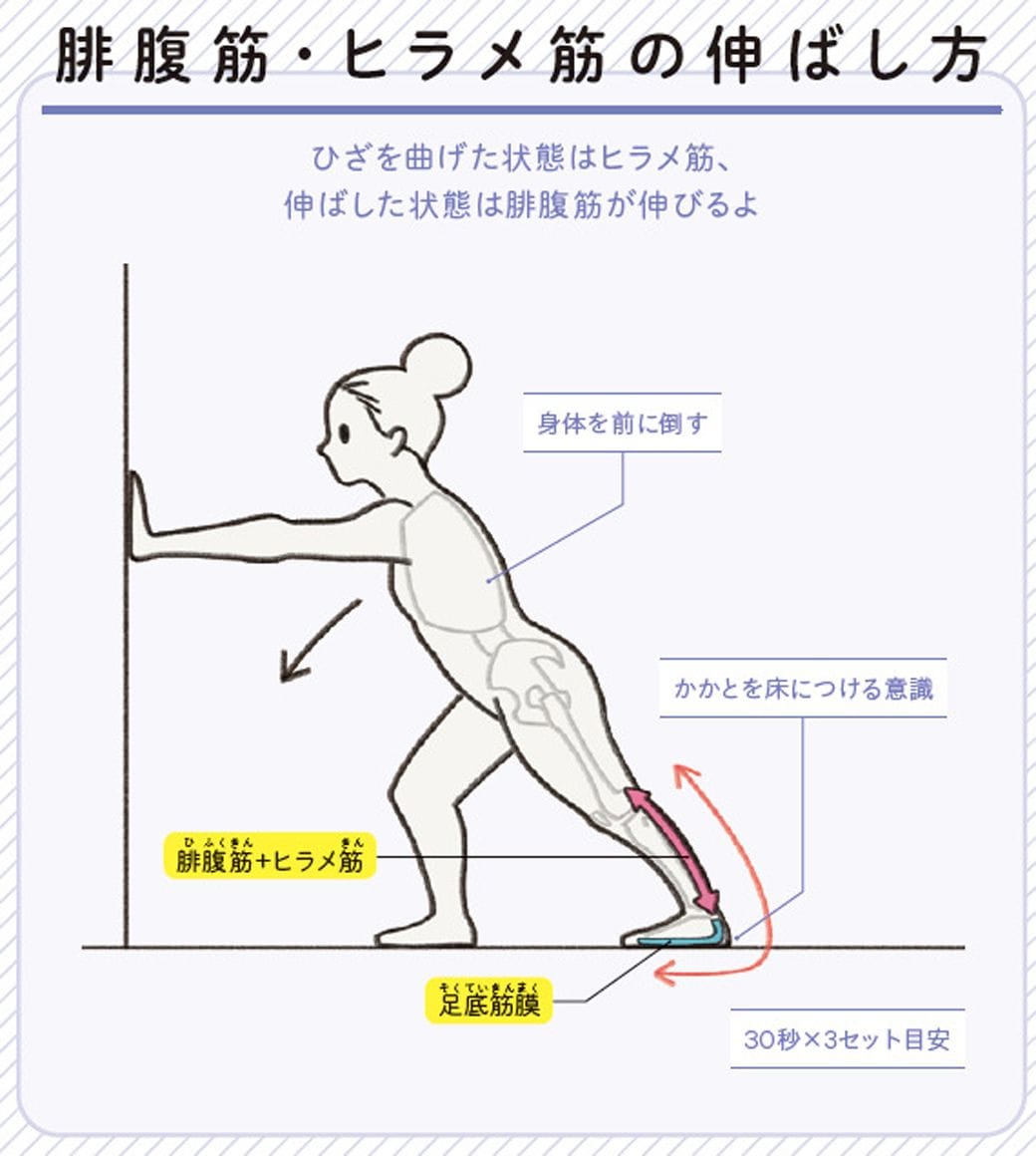 （画像：『世界一わかりやすい 筋肉のつながり図鑑セルフケア編』より）