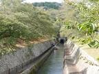 近くには琵琶湖疏水が流れる