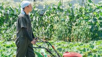 ゼロから始める｢小規模農家｣基本ガイド