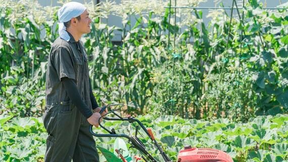 畑を小型トラクターで耕す農家