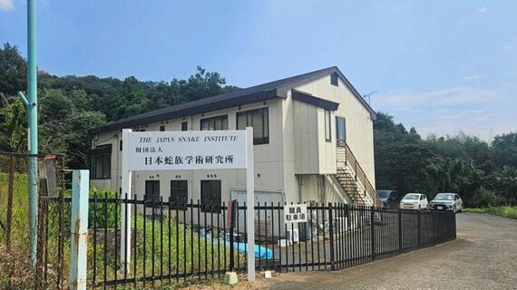 蛇族学術研究所