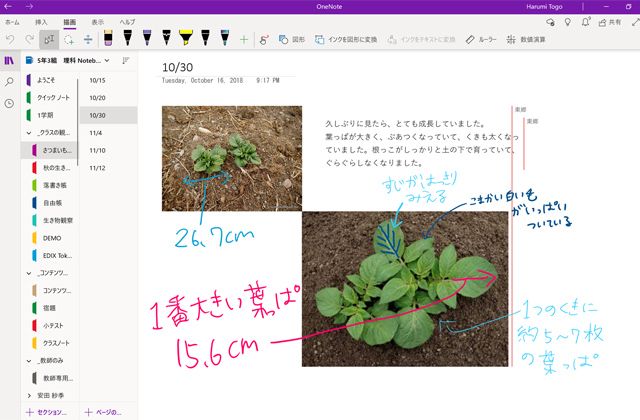マイクロソフトが提供する共有ノートアプリ「OneNote」上で、小学校の児童が植物観察の日記をつけている例（画像：Microsoft）
