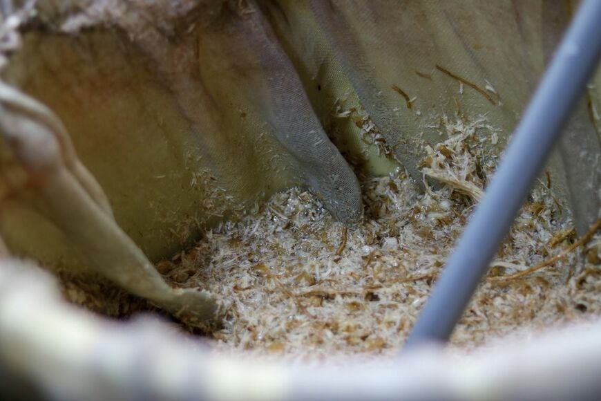漉く直前の和紙の原料（写真：筆者撮影）