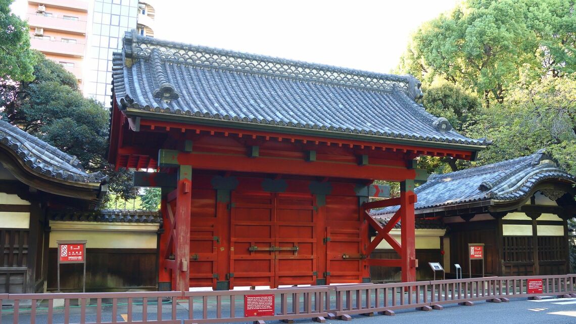 （写真：koro／PIXTA）