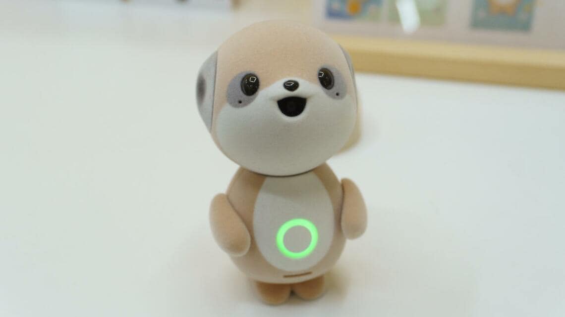 ポケとも