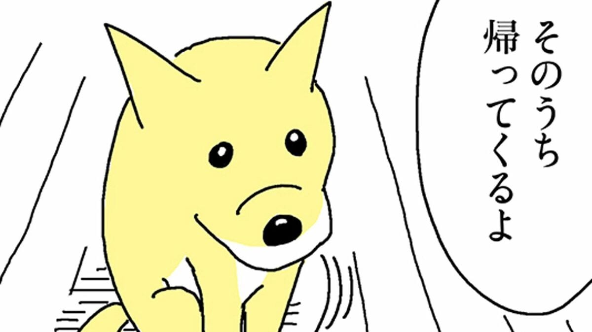 漫画『姉の犬から目が離せない』第4話公開 犬嫌いが保護犬に心温まる変化