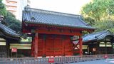 （写真：koro／PIXTA）