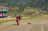 ネパール人たちの出身地の写真