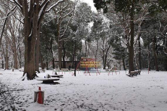 石神井公園