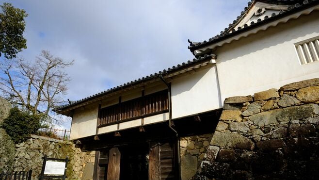 調整力で徳川に貢献｢井伊直政｣の壮絶な家の歴史