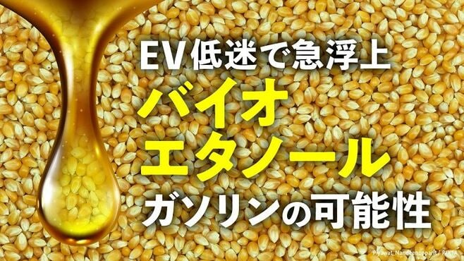 EV普及遅れで浮上｢バイオエタノール｣燃料の活路