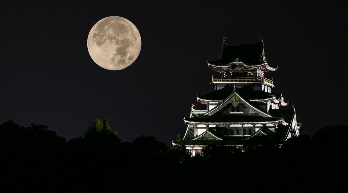 どうする家康 大河ドラマ