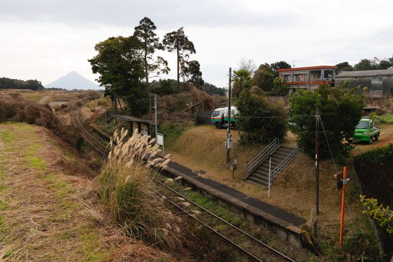 草刈り実施前の松ケ浦駅の様子。手前のススキなど、景観上やや気になる雑草が点在している（写真：村上悠太）