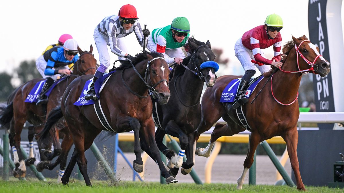 日本経済の未来は日本競馬の成功に学べば明るい | 新競馬好きエコノミストの市場深読み劇場 | 東洋経済オンライン