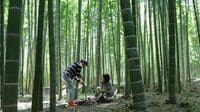 NYで開眼！栃木で｢竹の農場｣盛り上げる男の発想 IBMの中庭を見たことが家業の再興に繋がった