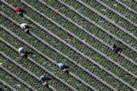 カリフォルニア州､世界6位の経済規模に フランスを抜き去った