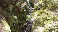 リニア新幹線と｢野生生物｣の何とも気になる関係